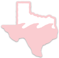 Texas Wave Sticker